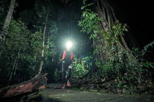 BIB: 
                            <button type="button" onclick="openModal(24808799)" class="btn btn-primary btn-sm float-right btn-popup" data-toggle="modal" data-target=".modal-high-quality">
                        <i class="fas fa-shopping-cart"></i> Add to Cart
                    </button>
                                            <button type="button" onclick="isThisMe(24808799, true)" class="btn btn-success btn-sm float-right btn-popup btn-isme hidden" data-toggle="tooltip" data-placement="bottom" title="นี่คือรูปของคุณใช่ไหม คลิกที่นี่เพื่อเอาเข้าอัลบั้ม">
                        <i class="fas fa-plus"></i> Add to album
                    </button>
                    <button type="button" onclick="isThisMe(24808799, false)" class="btn btn-warning btn-sm float-right btn-popup btn-isnotme hidden">
                        <i class="fas fa-ban"></i> Remove from album
                    </button>